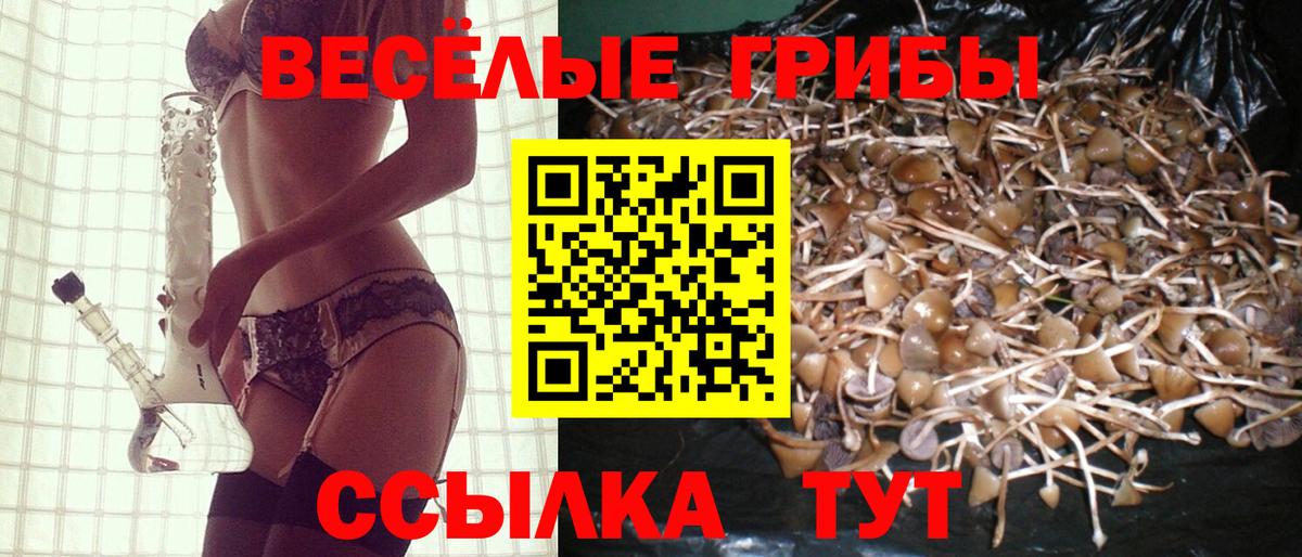 Псилоцибиновые грибы мухоморы Павлово