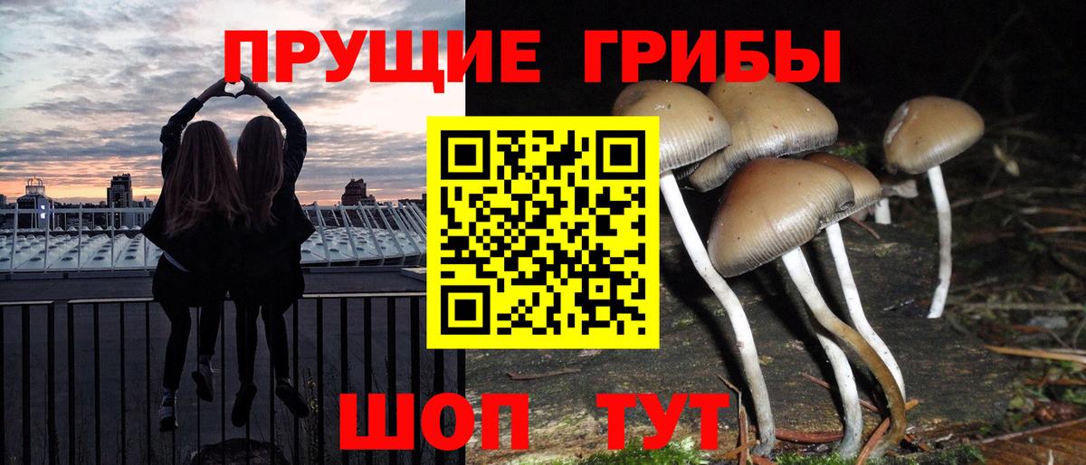 Галлюциногенные грибы мицелий  Вход с VPN  Галлюциногенные грибы мицелий  Павлово 