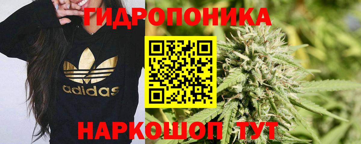 Конопля индика  Конопля Ganja  Вход с VPN  Павлово  Бошки марихуана Bruce Banner 